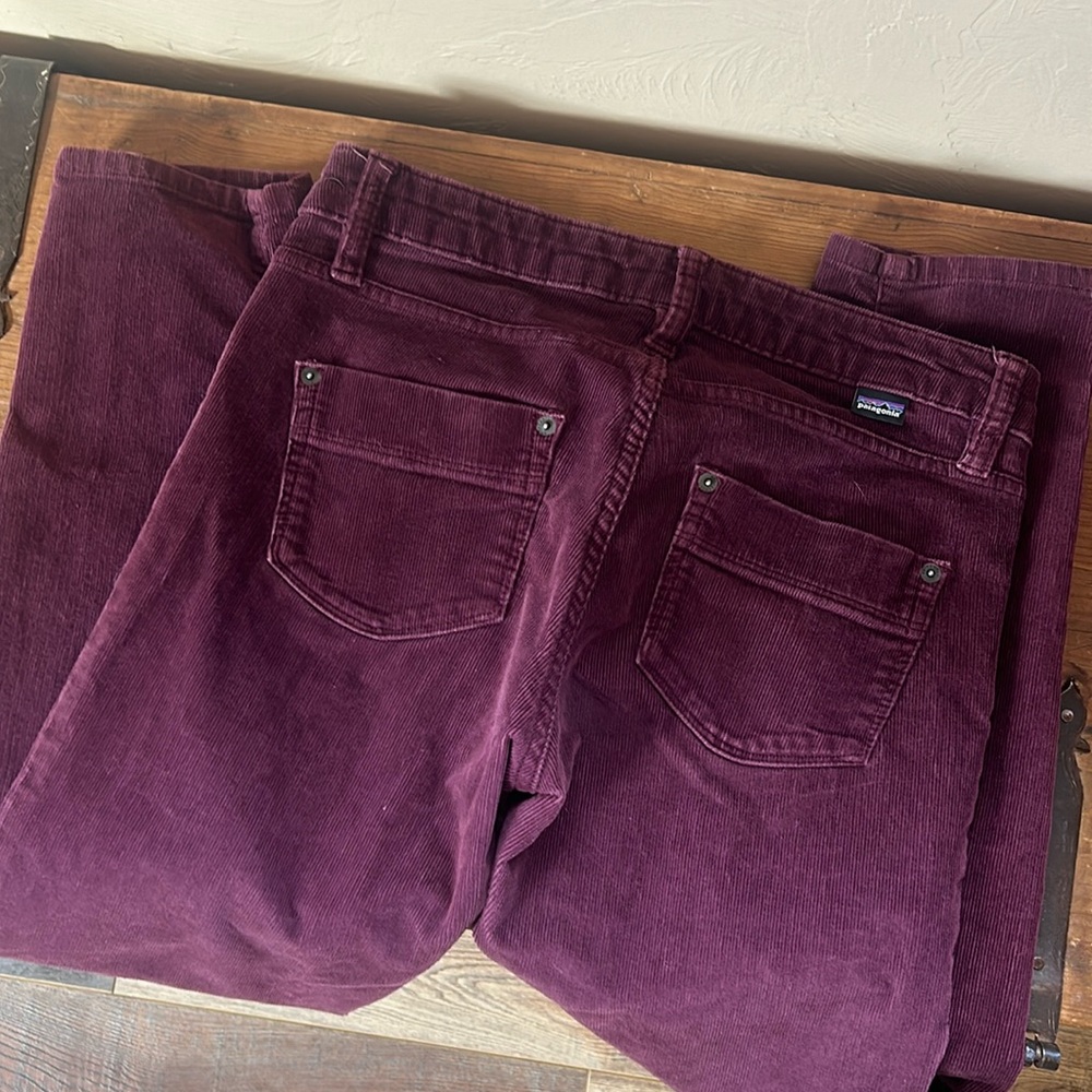 Patagonia Maroon Pants